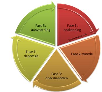 rouwfasen|Fases in het rouwproces